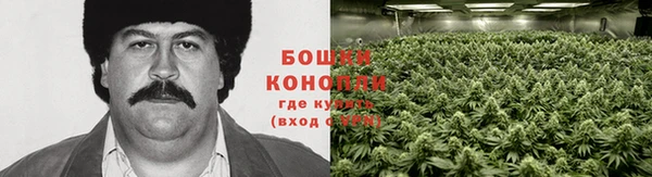экстази Горняк