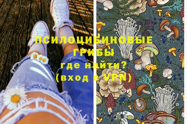 соль курить ск Горно-Алтайск