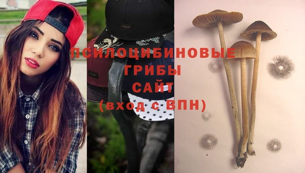экстази Горняк