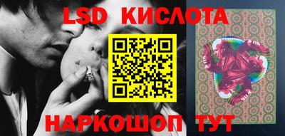 крисы Дубна