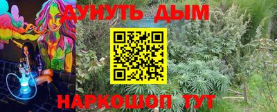 стаф Донской