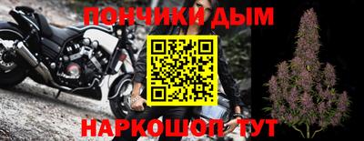 стаф Донской