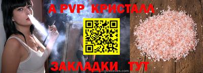 стаф Донской