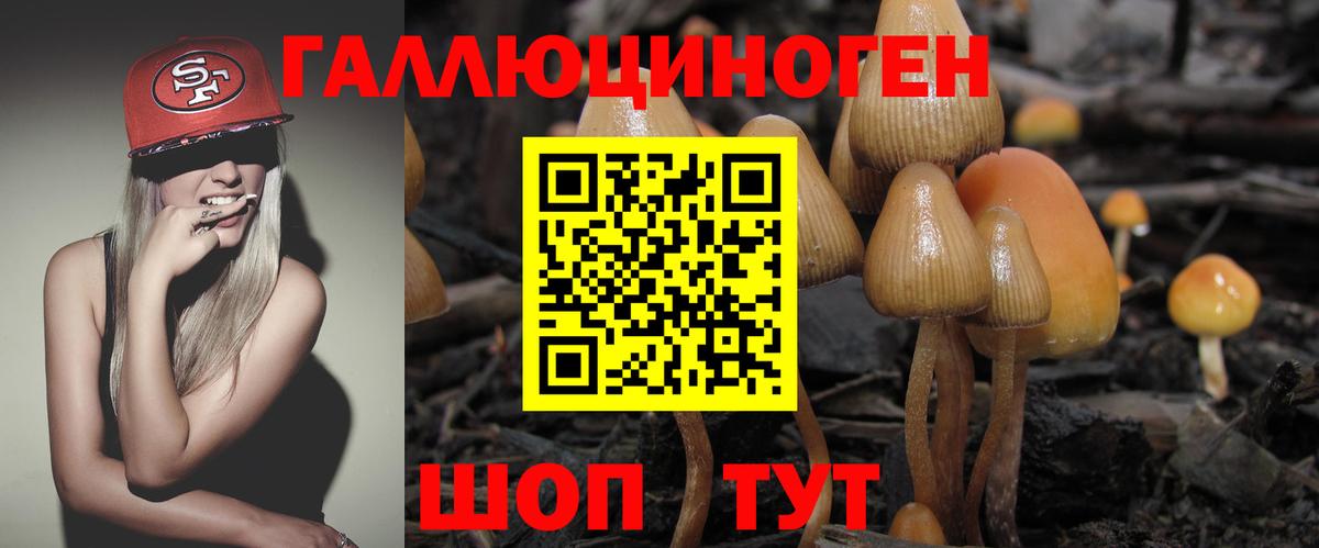 Мценск  Псилоцибиновые грибы прущие грибы  Вход с VPN 